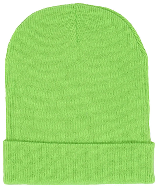 Sp5der Web Beanie Green