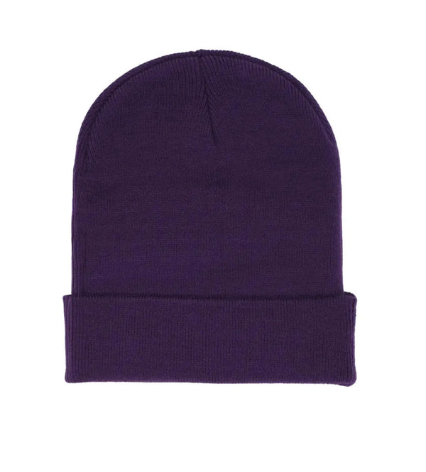 Sp5der Web Beanie Purple