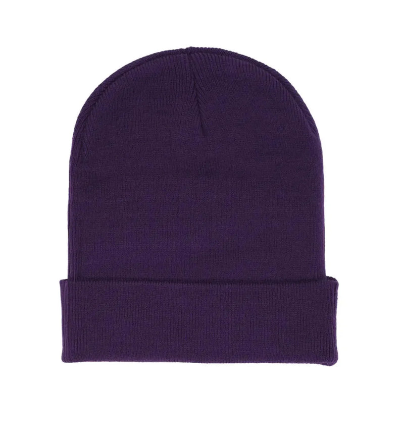 Sp5der Web Beanie Purple